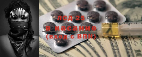 ГАЛЛЮЦИНОГЕННЫЕ ГРИБЫ Алексин